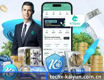 开云体育网页版 APP
